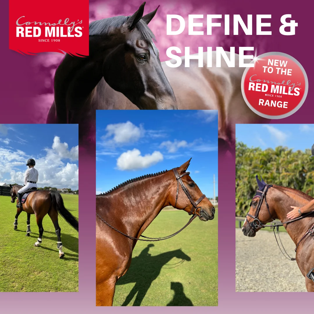 Your FAQs on Define & Shine – New to the RED MILLS Range