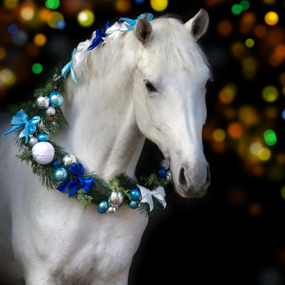 Celebrating Christmas with your horse!