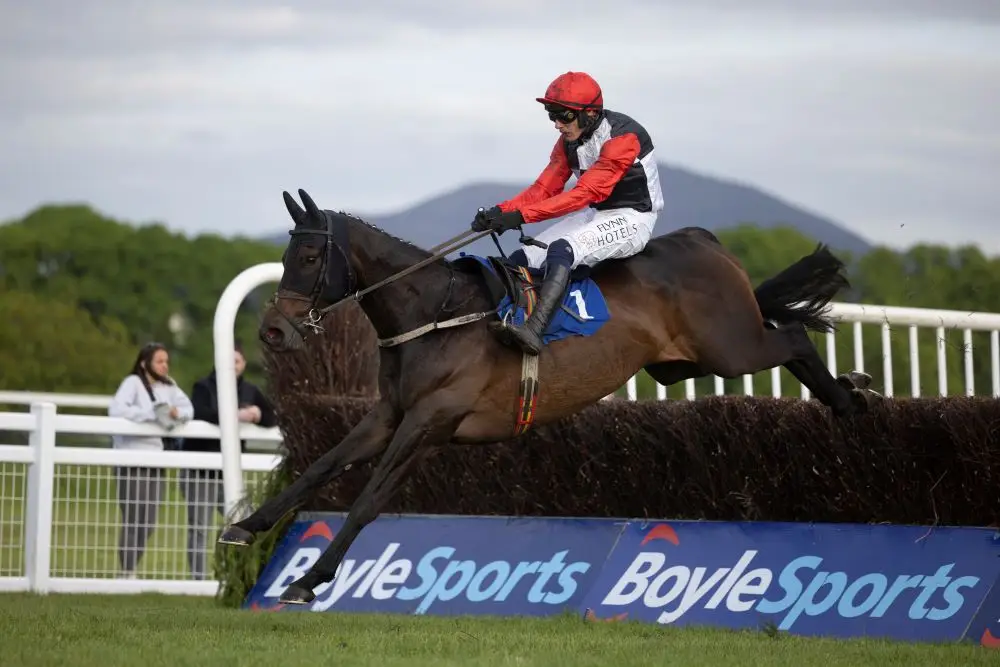 Saint Sam Heads the Lineup for The RED MILLS Chase at Gowran Park on Saturday