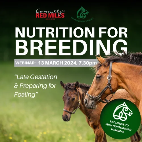 Connolly’s RED MILLS and Irish Horse Board Join Forces to Launch Nutrition for Breeding Success Webinar Series