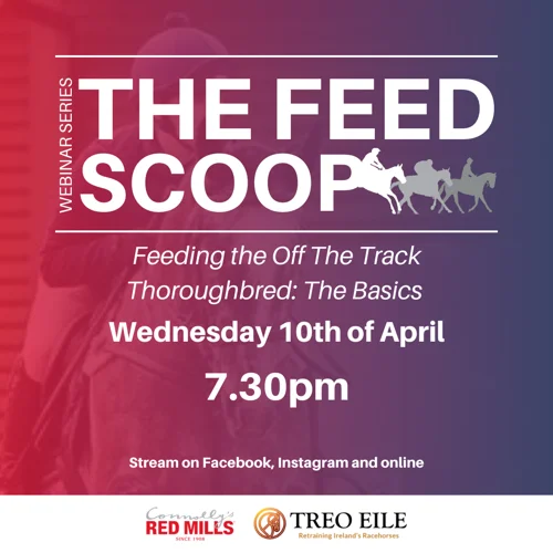 The Feed Scoop Webinar Series: Feeding the Off The Track Thoroughbred